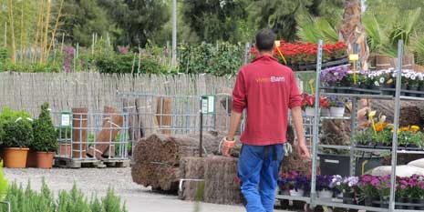 Jardineria. Cash&Carry, Catàleg de Plantes, Catàleg de Materials, Lloguer de plantes i materials