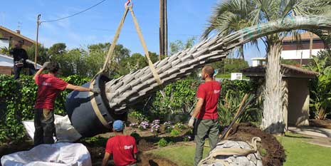 Paisatgisme Exteriors. Sol·licitar Pressupost