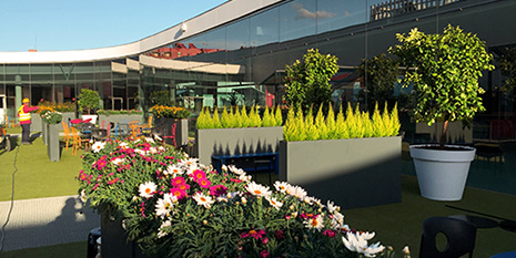 Jardineria. Cash&Carry, Catàleg de Plantes, Catàleg de Materials, Lloguer de plantes i materials